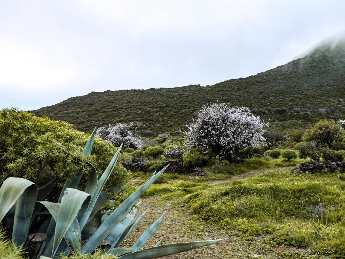 Luxury Villa In Nature With Swimming Pool Tenerife, Santiago Del Teide, With Sea And Mountain Views El Retamar 외부 사진