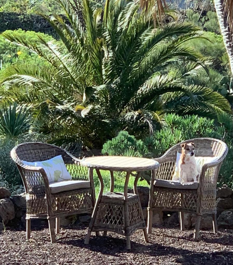 Luxury Villa In Nature With Swimming Pool Tenerife, Santiago Del Teide, With Sea And Mountain Views El Retamar 객실 사진